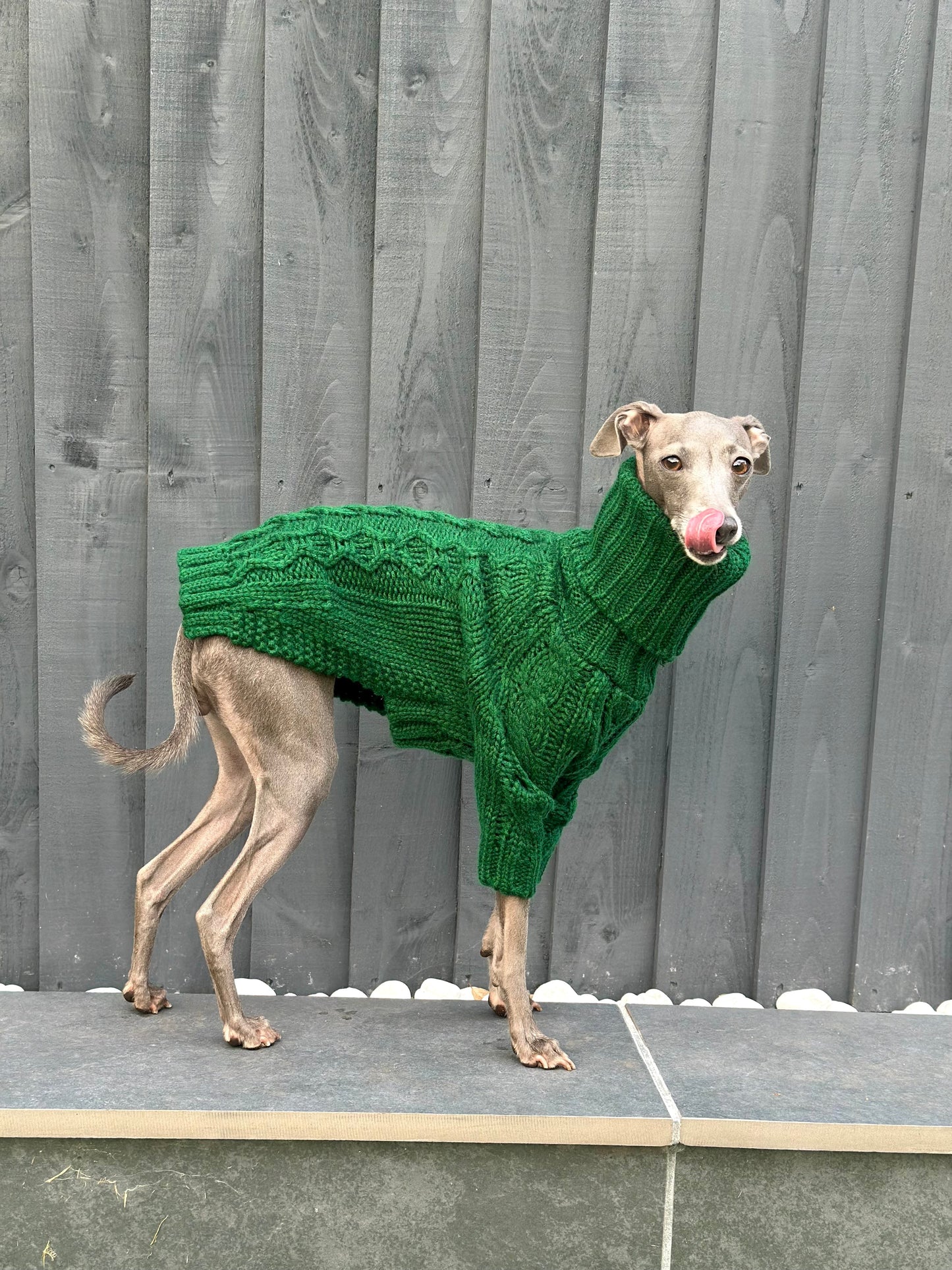 Emerald Italian Greyhound Sweater