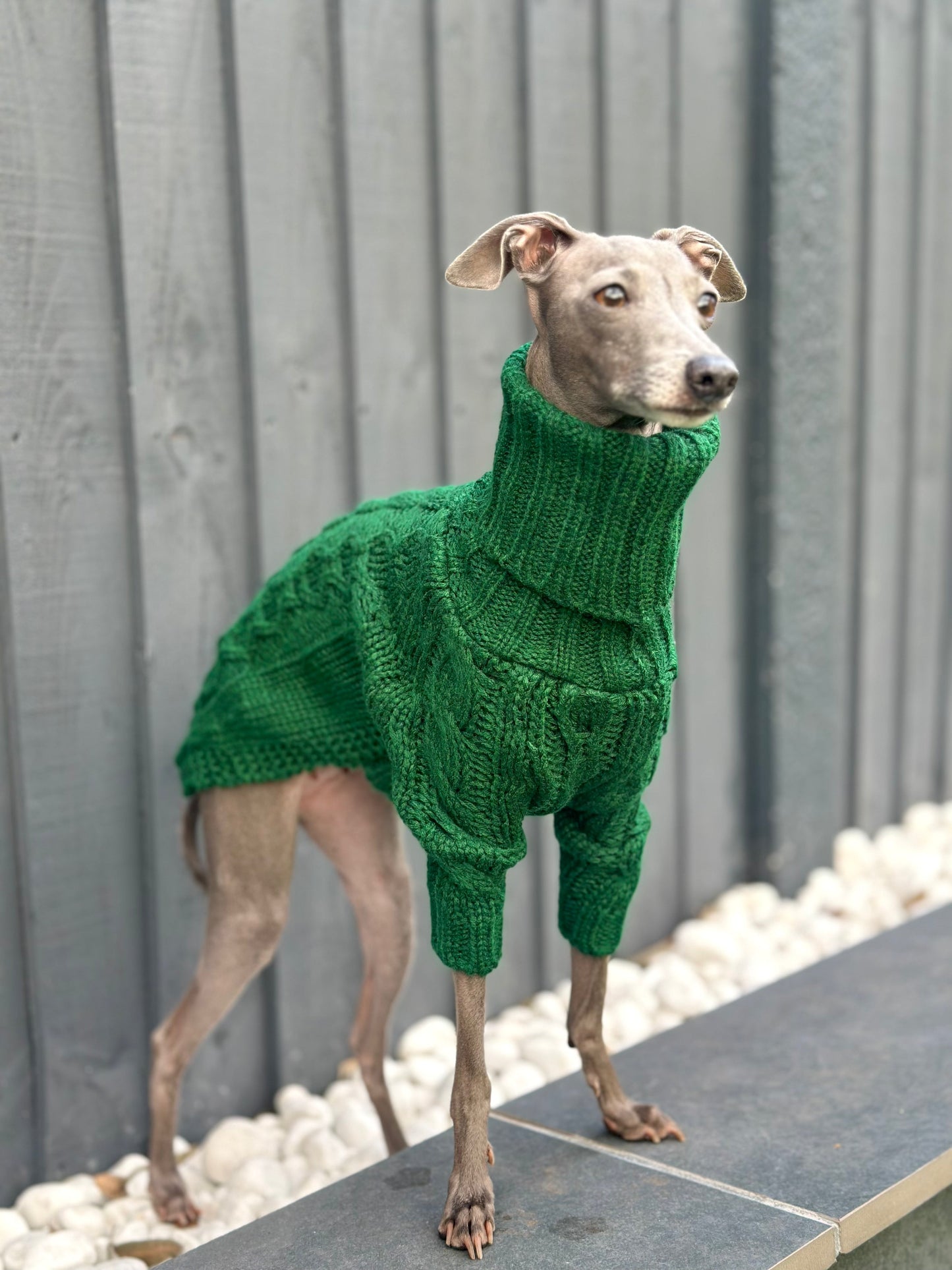 Emerald Italian Greyhound Sweater
