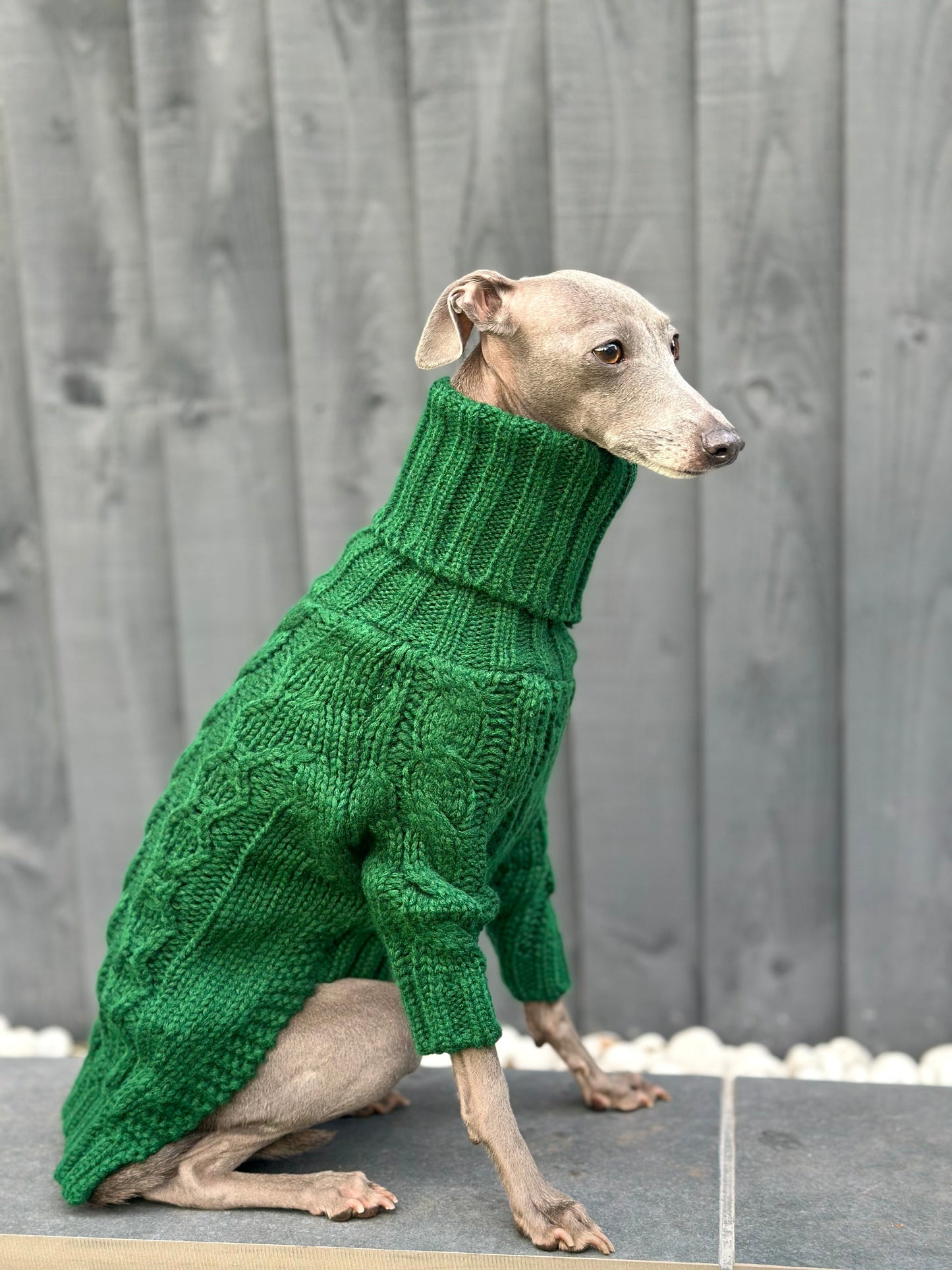 Emerald Italian Greyhound Sweater