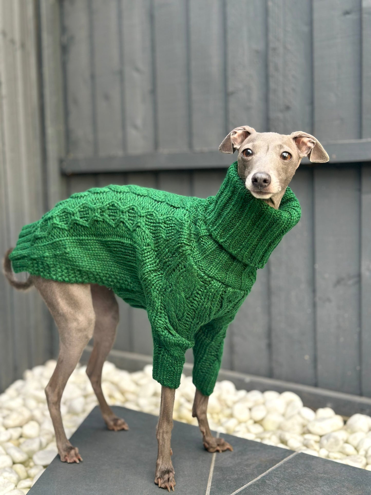 Emerald Italian Greyhound Sweater