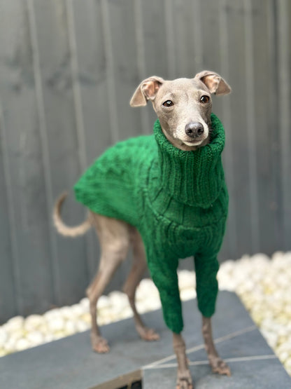 Emerald Italian Greyhound Sweater