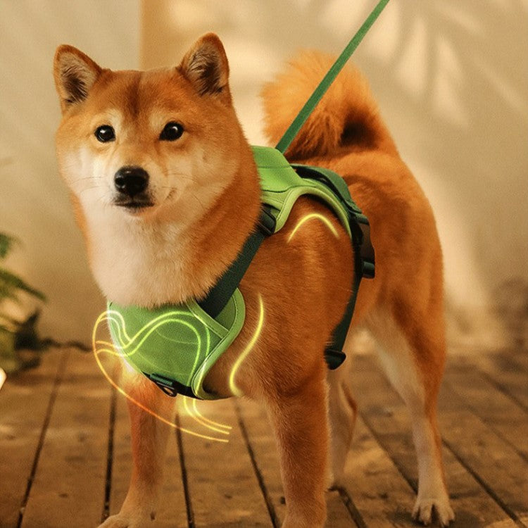 Adjustable Anti-Pull Harness For Dogs With Leash