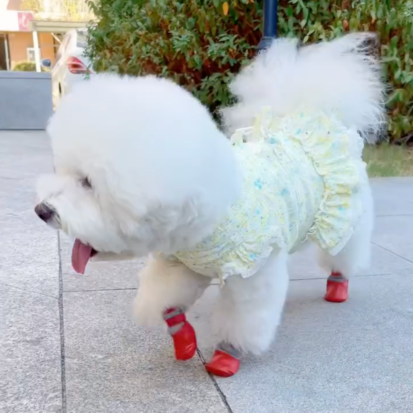 Cozy Waterproof Pet Boots – Winter Protection & Comfort