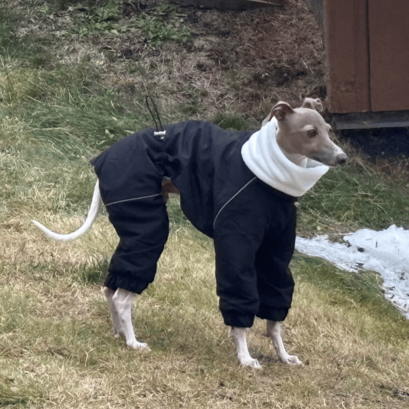 Winter Windproof Fleece Onesie Italian Greyhound Whippet Clothes