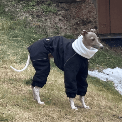 Winter Windproof Fleece Onesie Italian Greyhound Whippet Clothes