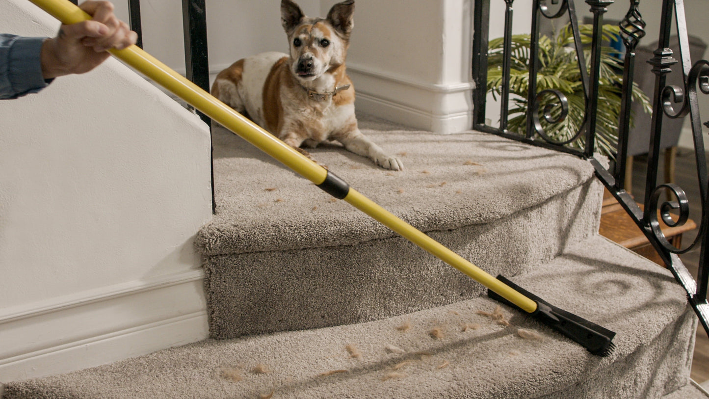 Broomer – Pet Hair Removal Broom for Carpet & Hard Floors