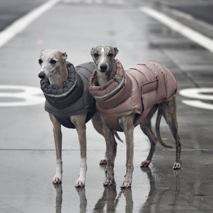 Cotton Padded Jacket Vest for Italian greyhound Whippet