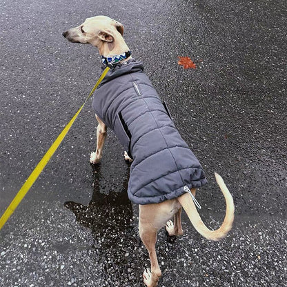Cotton Padded Jacket Vest for Italian greyhound Whippet
