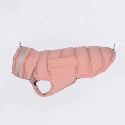 Cotton Padded Jacket Vest for Italian greyhound Whippet