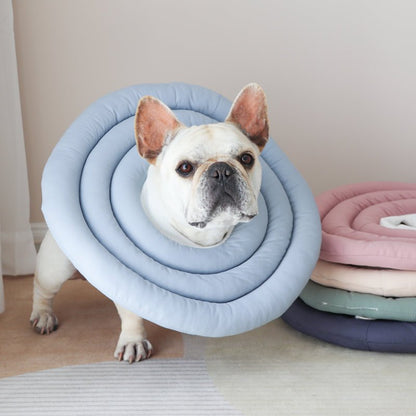 Recovery Cone Adjustable Collar for Dog & Cat