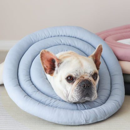 Recovery Cone Adjustable Collar for Dog & Cat