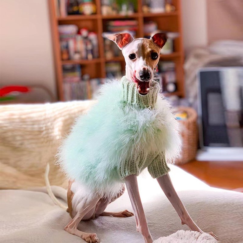 Faux Fur Sweater for Italian Greyhound Whippet