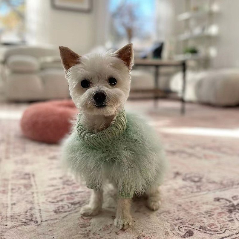 Faux Fur Sweater for Italian Greyhound Whippet
