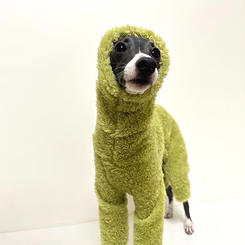 Fleece Onesie Italian Greyhound Whippet Dog Clothes