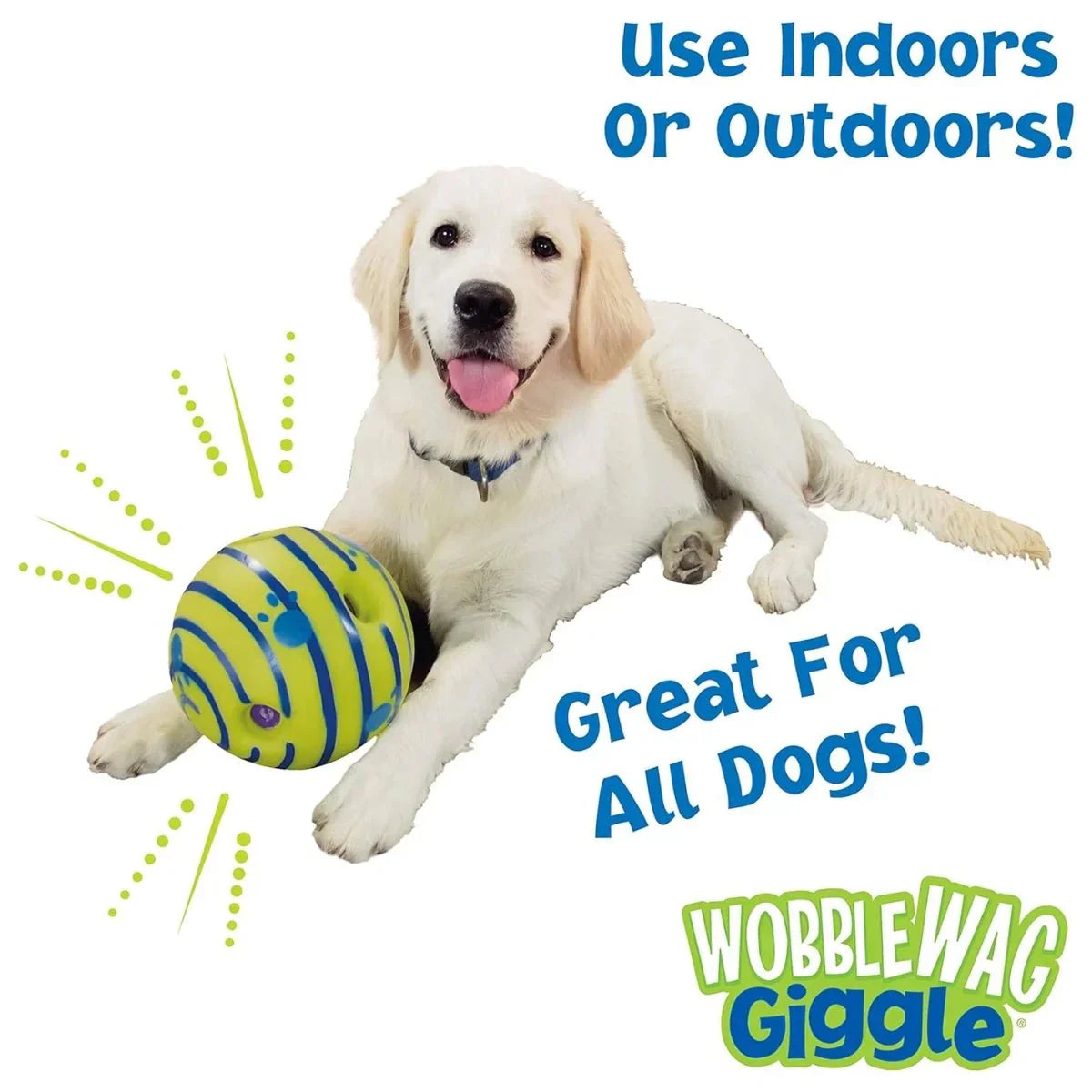 Glow & Giggle Ball Interactive Dog Toy - As Seen On TV