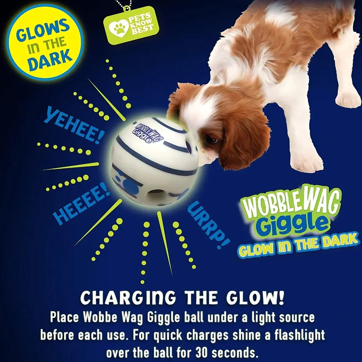 Glow & Giggle Ball Interactive Dog Toy - As Seen On TV