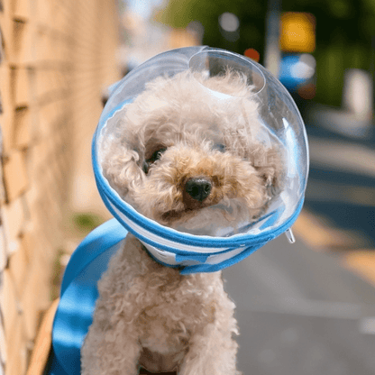 Pet Anti-Bite Mask No-Snack Full Head Cover Lightweight & Adjustable