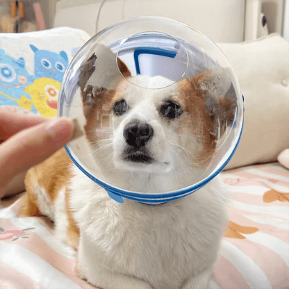 Pet Anti-Bite Mask No-Snack Full Head Cover Lightweight & Adjustable
