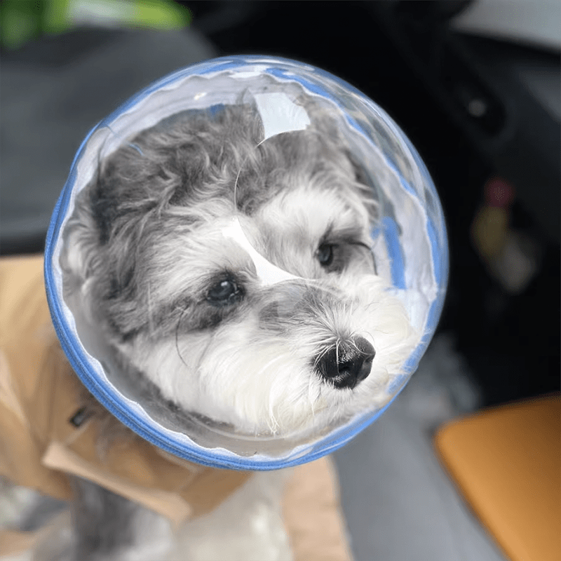 Pet Anti-Bite Mask No-Snack Full Head Cover Lightweight & Adjustable
