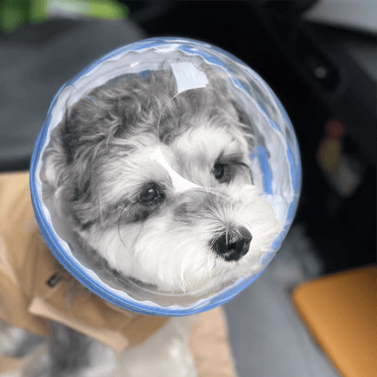 Pet Anti-Bite Mask No-Snack Full Head Cover Lightweight & Adjustable