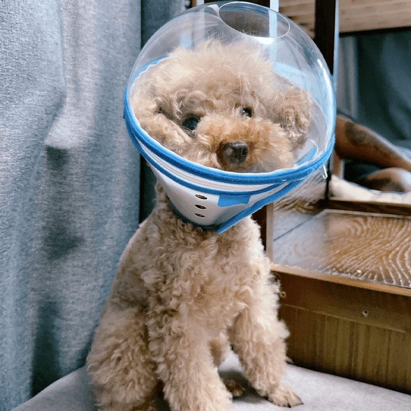 Pet Anti-Bite Mask No-Snack Full Head Cover Lightweight & Adjustable