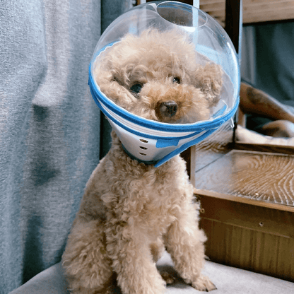 Pet Anti-Bite Mask No-Snack Full Head Cover Lightweight & Adjustable