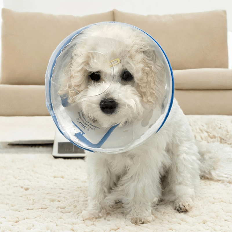 Pet Anti-Bite Mask No-Snack Full Head Cover Lightweight & Adjustable