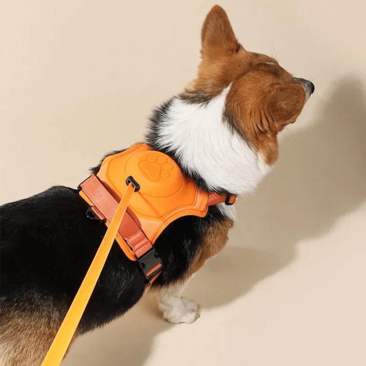 Adjustable Anti-Pull Harness For Dogs With Leash
