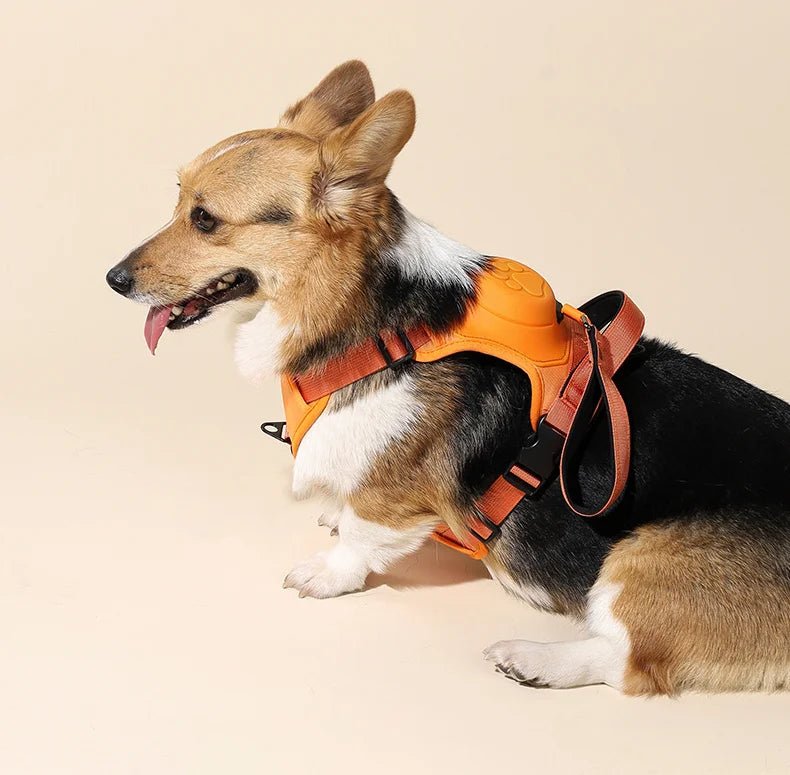 Adjustable Anti-Pull Harness For Dogs With Leash