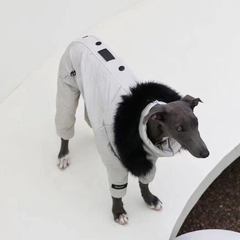 Snowsuit Thickened Jacket Cotton Coat Italian Greyhound Whippet Dog Clothes
