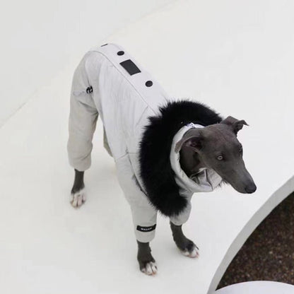 Snowsuit Thickened Jacket Cotton Coat Italian Greyhound Whippet Dog Clothes