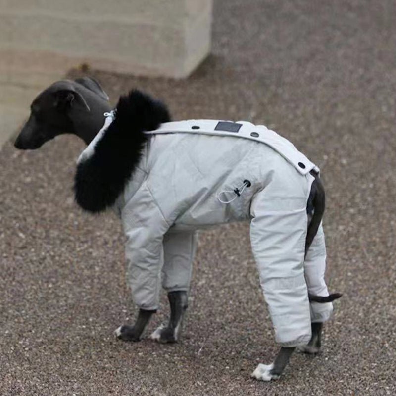 Snowsuit Thickened Jacket Cotton Coat Italian Greyhound Whippet Dog Clothes
