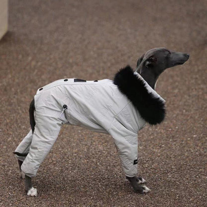 Snowsuit Thickened Jacket Cotton Coat Italian Greyhound Whippet Dog Clothes