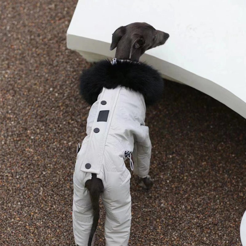 Snowsuit Thickened Jacket Cotton Coat Italian Greyhound Whippet Dog Clothes