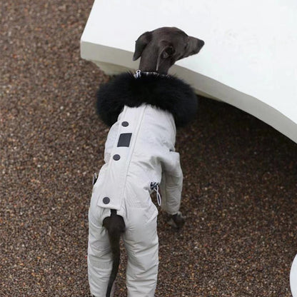 Snowsuit Thickened Jacket Cotton Coat Italian Greyhound Whippet Dog Clothes